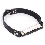 Harmonica Bit Gag - Image 7