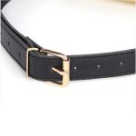 Harmonica Bit Gag - Image 2