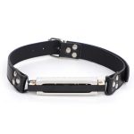 Harmonica Bit Gag - Image 3