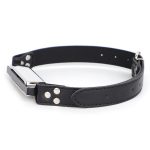 Harmonica Bit Gag - Image 4