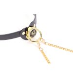 Pacifier Mouth Gag With Nipple Clamp Clip - Image 4