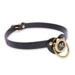 Pacifier Mouth Gag With Nipple Clamp Clip - Image 5