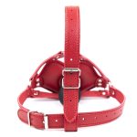 Penis Gag With Head Strap - Image 4