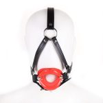 Lips Gag With Heard Harness - Image 2