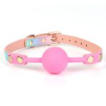 Rainbow Silicone Ball Gag Oral