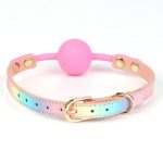 Rainbow Silicone Ball Gag Oral - Image 2