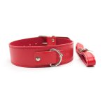 Fur Lined Collar with Leash - Image 8