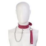 Fur Lined Collar with Leash - Image 4