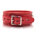 Thick D Ring Neck Collar - Image 4