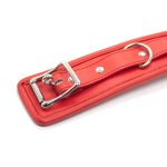 Thick D Ring Neck Collar - Image 5