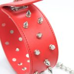 Collar Lockable With  Full Spikes - Image 5