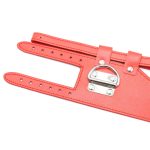 D-Ring  Leather Collar With Ball Gag - Image 3