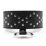 O Ring Prismatic Nail Ultimate Bondage Collar - Image 7