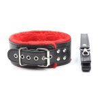 Red Fur Lined Locking Collar - Image 2