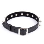 Spike Pin Buckle Collar - Image 2