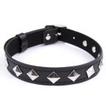 Rivet Pin Buckle Neck Collar