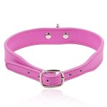 Iron Ring Neck Collar - Image 3