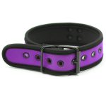 Bondage Collor (No Lead) - Image 8