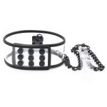 Clear Collar With Lead -Snap Lock