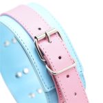 Blue & Pink Collars with Lead