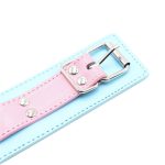 Blue & Pink Collars with Lead - Image 2
