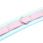 Blue & Pink Collars with Lead - Image 3