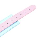 Blue & Pink Collars with Lead - Image 4