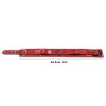 Pearlite Layer BDSM Collar - Image 2