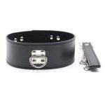 D Ring Pin Lock Collar With Lead - Image 3