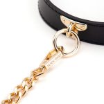 Golden Chain Lead Collar - Image 3