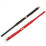 Exquisite Leather Neck Collar With Lead - Image 5