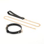 Double Layer Collar and Leash