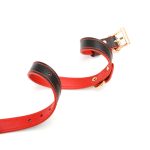 Double Layer Collar and Leash - Image 5