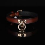 T Ring Neck Collar With Leash