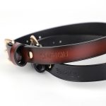 T Ring Neck Collar With Leash - Image 2