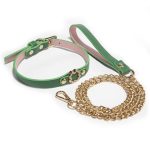 Green Neck Collar With Leash