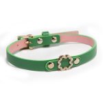 Green Neck Collar With Leash - Image 3