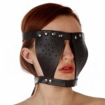 Bishop Head Harness - Image 6