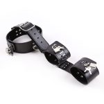 Neck To Locking Wrist Restraint - Image 3