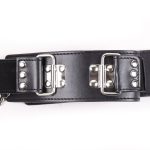 Neck To Locking Wrist Restraint - Image 5