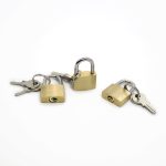 Bondage Padlock and Key - Image 4