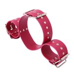 Wrist to Neck Locking Restraint