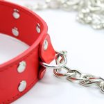 Leather Deluxe Slave Set - Image 4