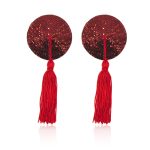 Cobweb Sequins Nipple Pasties - Image 12
