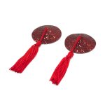 Cobweb Sequins Nipple Pasties - Image 2