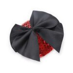 Bow Nipple Pasties - Red Scales - Image 4