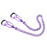Nipple Clamps with Removable Chain - Image 3