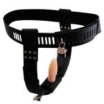 Chastity Belt With Double Anal Plug - Image 3