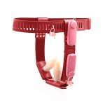 Female Chastity Belt With Double Vibration Plug - Image 2