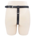 Male Chastity Harness With  Penile Straps - Image 2